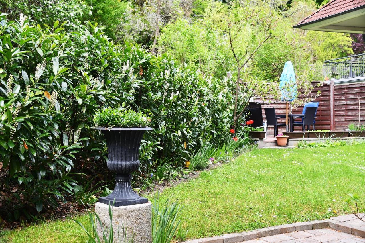 Ferienwohnung In Sassnitz Esterno foto